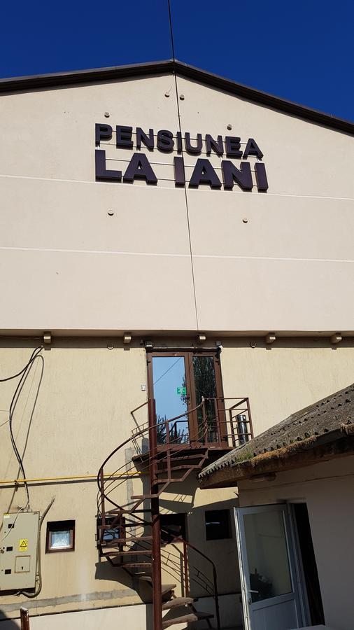 康斯坦塔Pensiuna La Iani宾馆